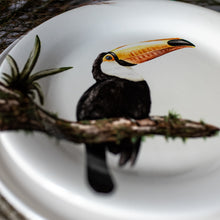 Charger l'image dans la galerie, Toucan"Nature"