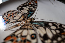 Charger l'image dans la galerie, Mariposa "Naturaleza" - arteypureza